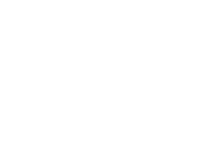 Abramson Smith Waldsmith LLP